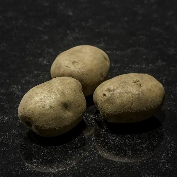 Three green-shaded skinned raw potatoes
